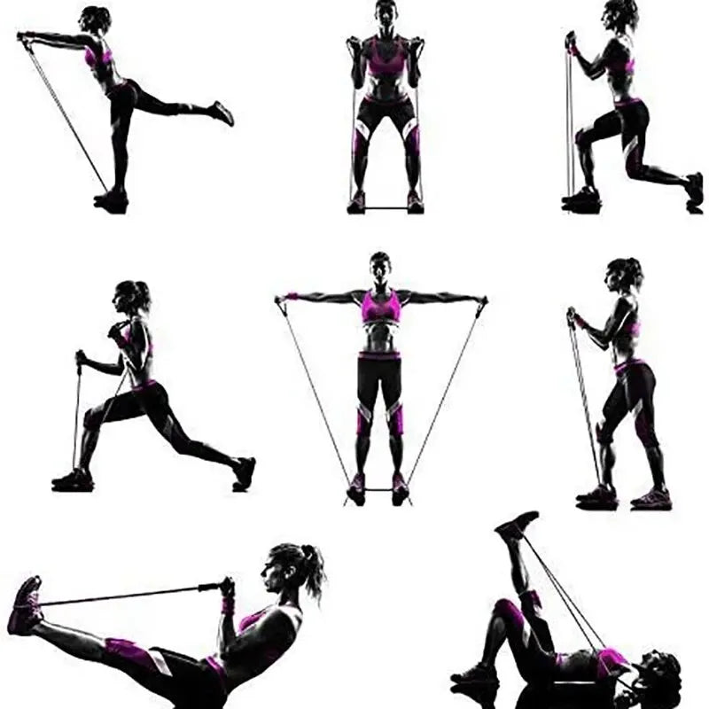 FitRyb ProBands